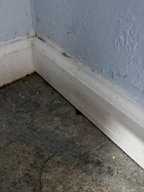 Small cockroach in under the sink.
