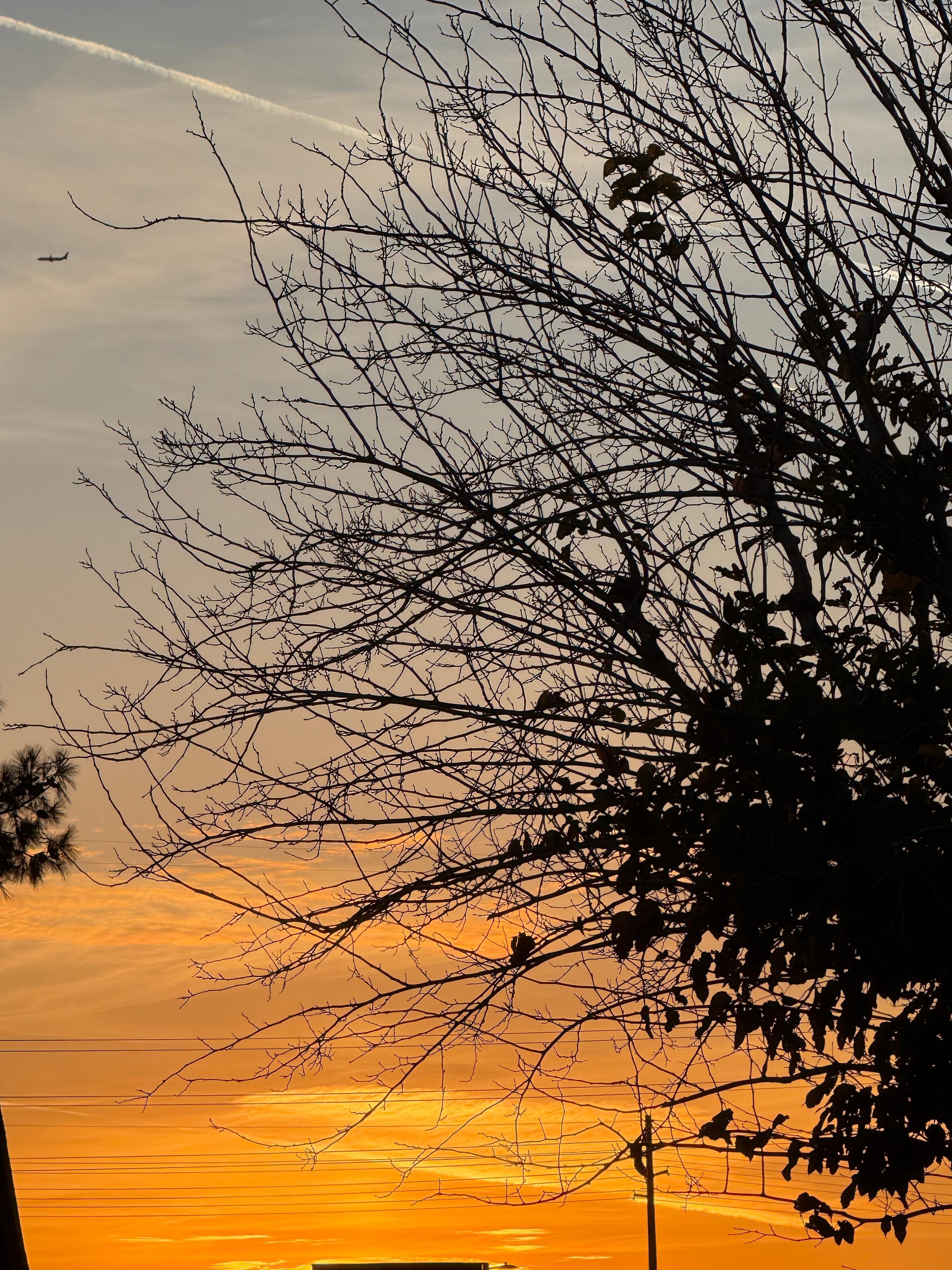 Backyard view for sunsets