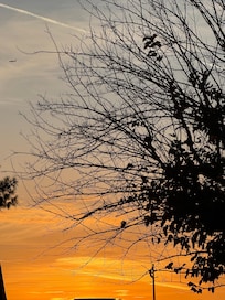 Backyard view for sunsets