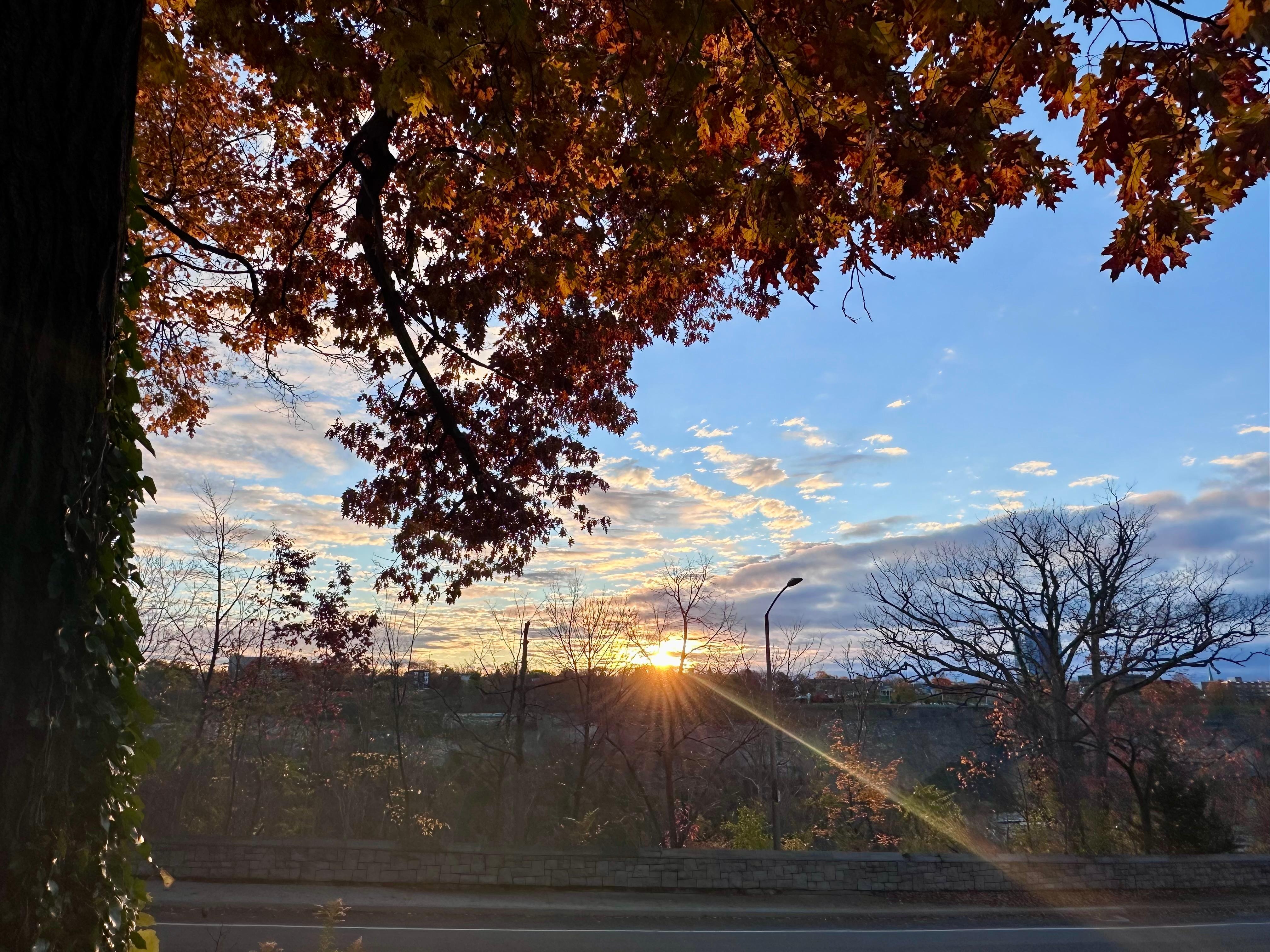 Morning view from the patio