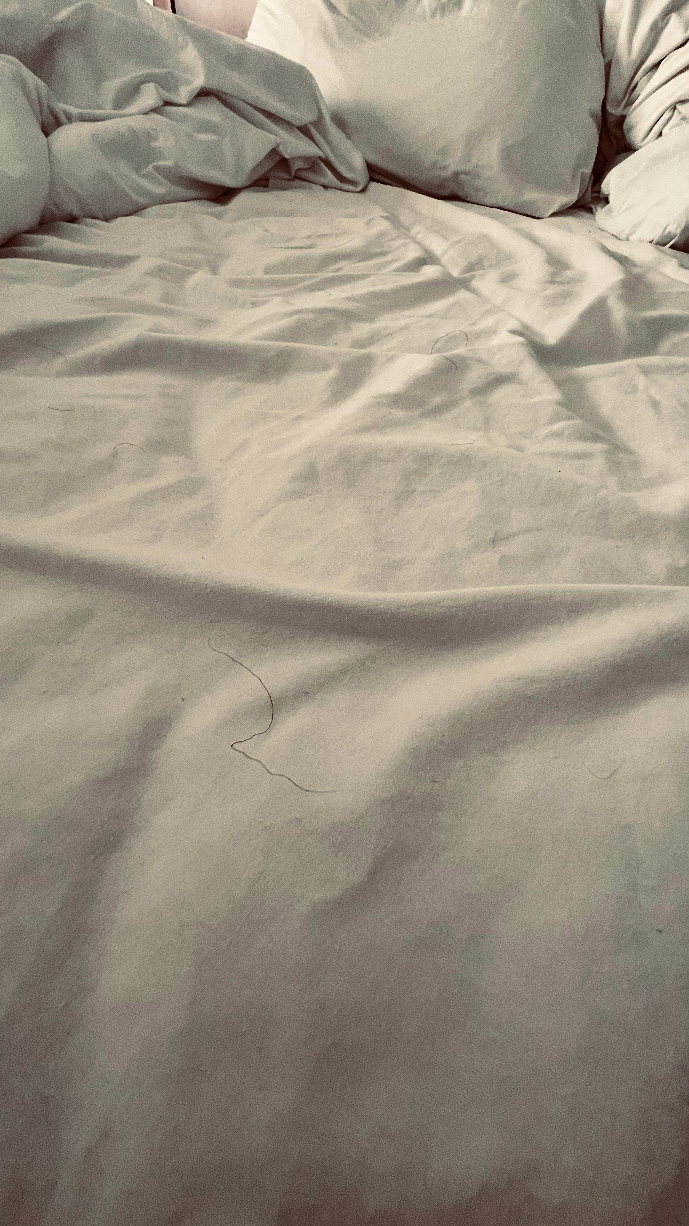 Hairs on the bed and specs of other stuff