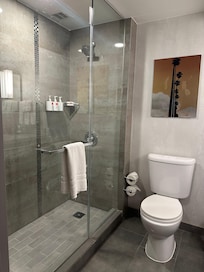 Stand up shower & toilet