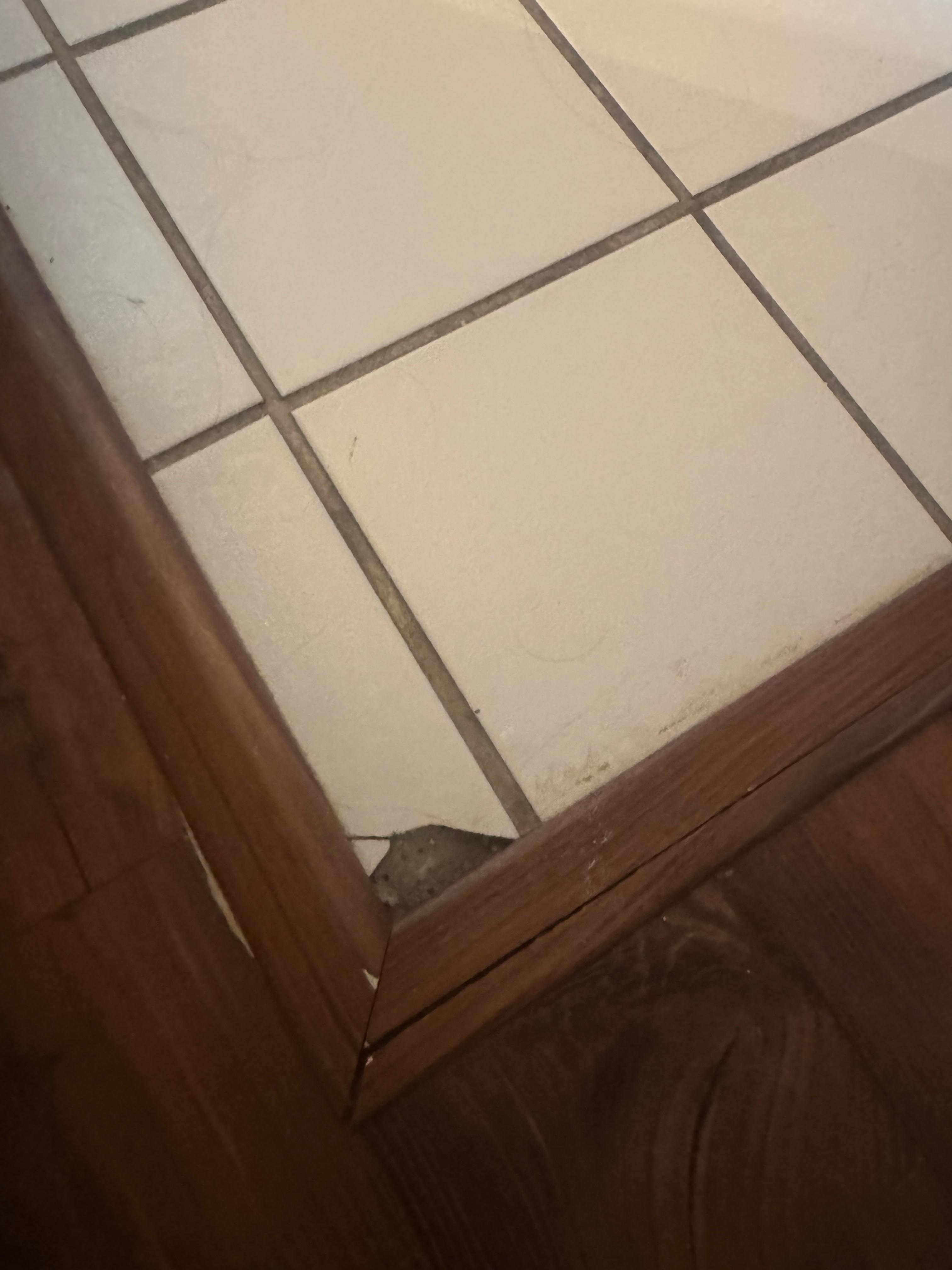 Several broken tiles