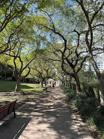 Beautiful walk to the beach