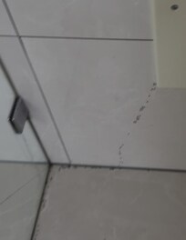 Ants crawling into the bathroom (video much worse)