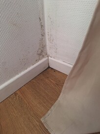 nicht nur diese Wand sah schimmlig aus