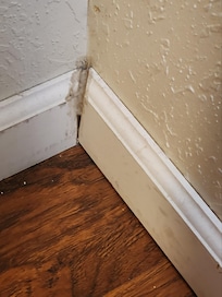 Just standard finishing details of this lovely Villa B. Cozy is not the word I would use...