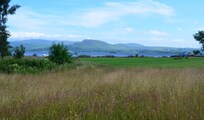 A view of Loch Lomond about a mile from the cottage.