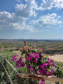 Endless views