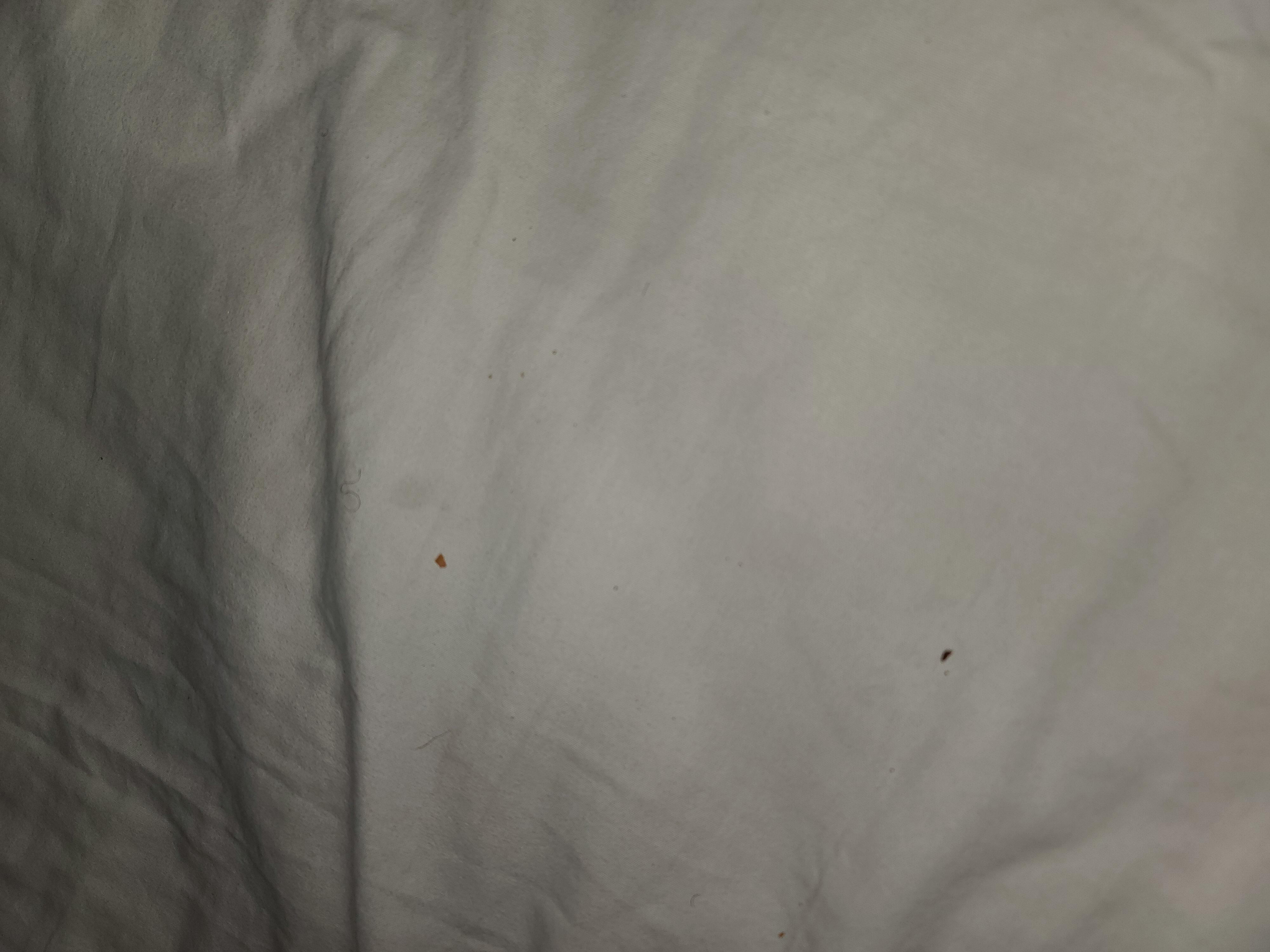 Dirt inside of covers in all 3 beds.