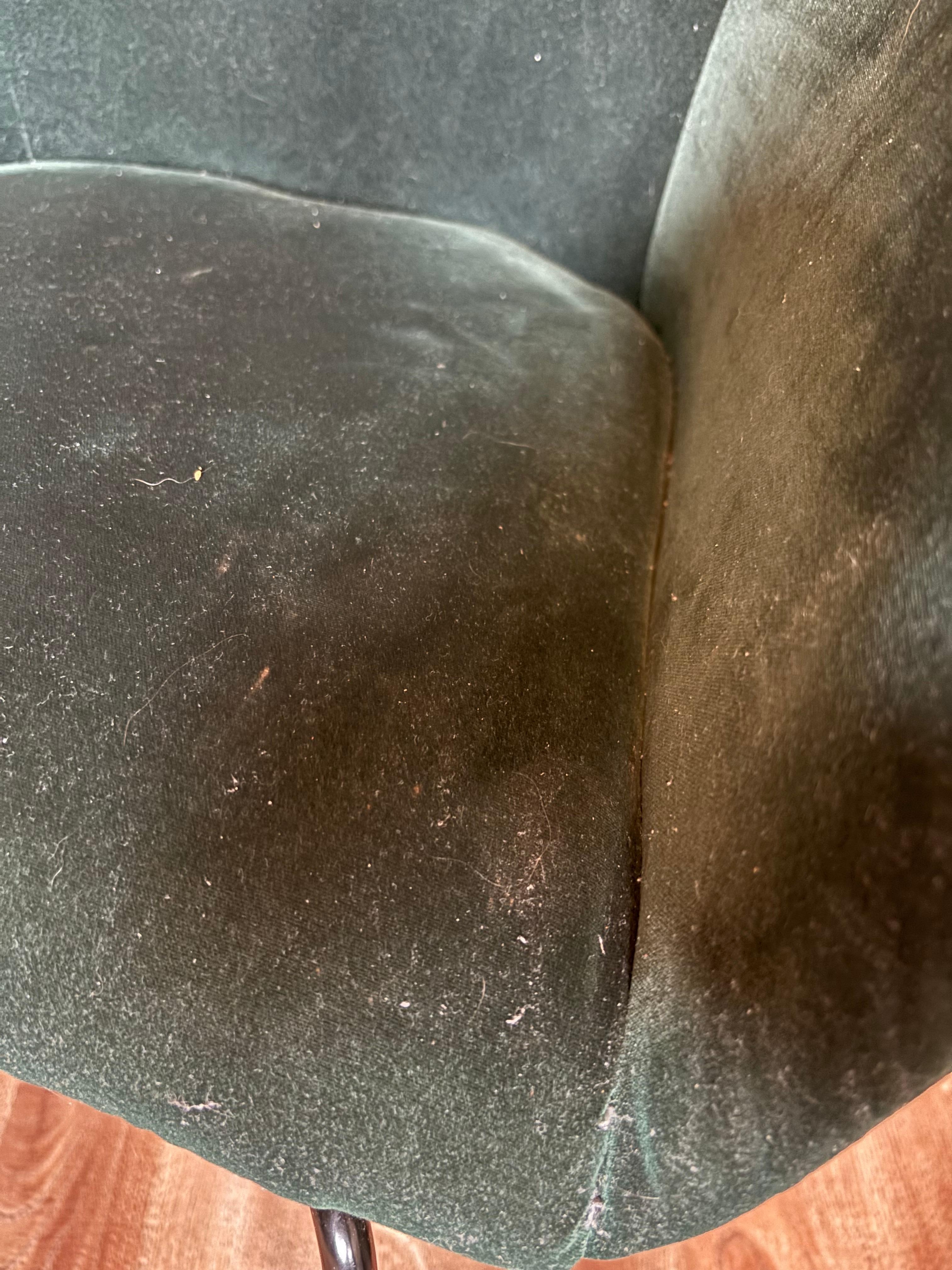 Dining table chairs, covered in dust and hair