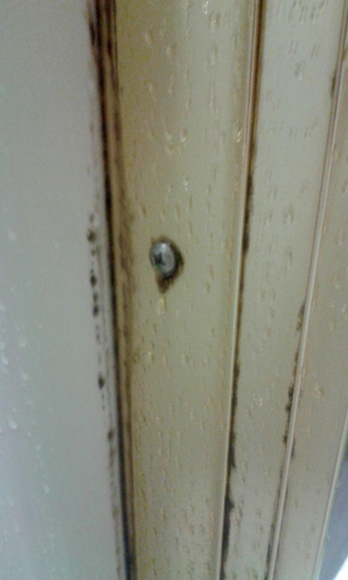 Mold around shower door