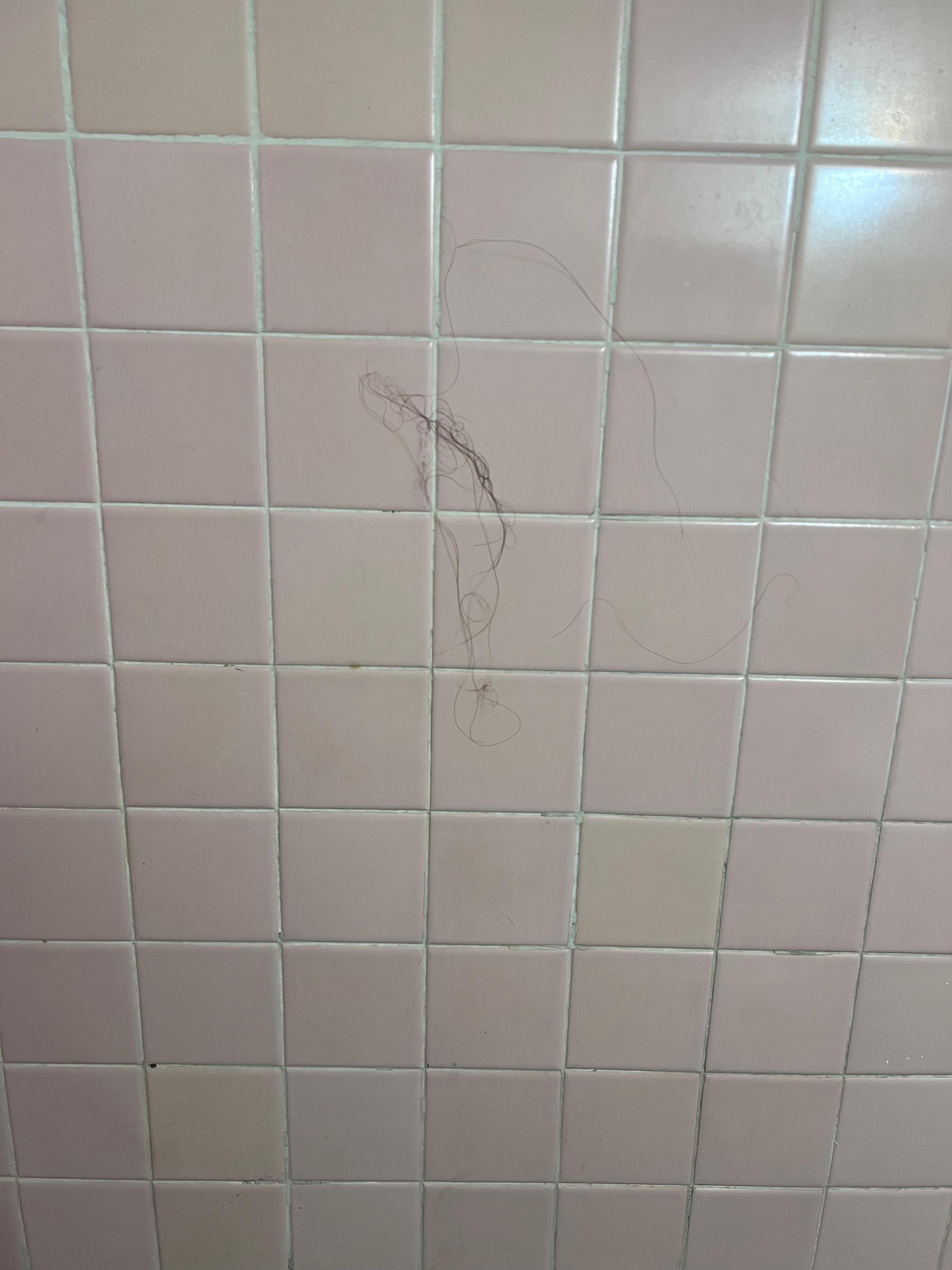 Clump of hair on the wall in the shower