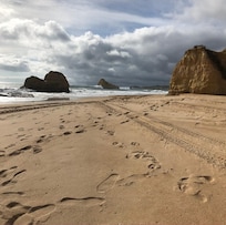 Пляжи на выбор..