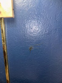 This goop is dried next to the head board of the bed