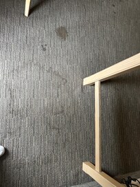 Stained carpet