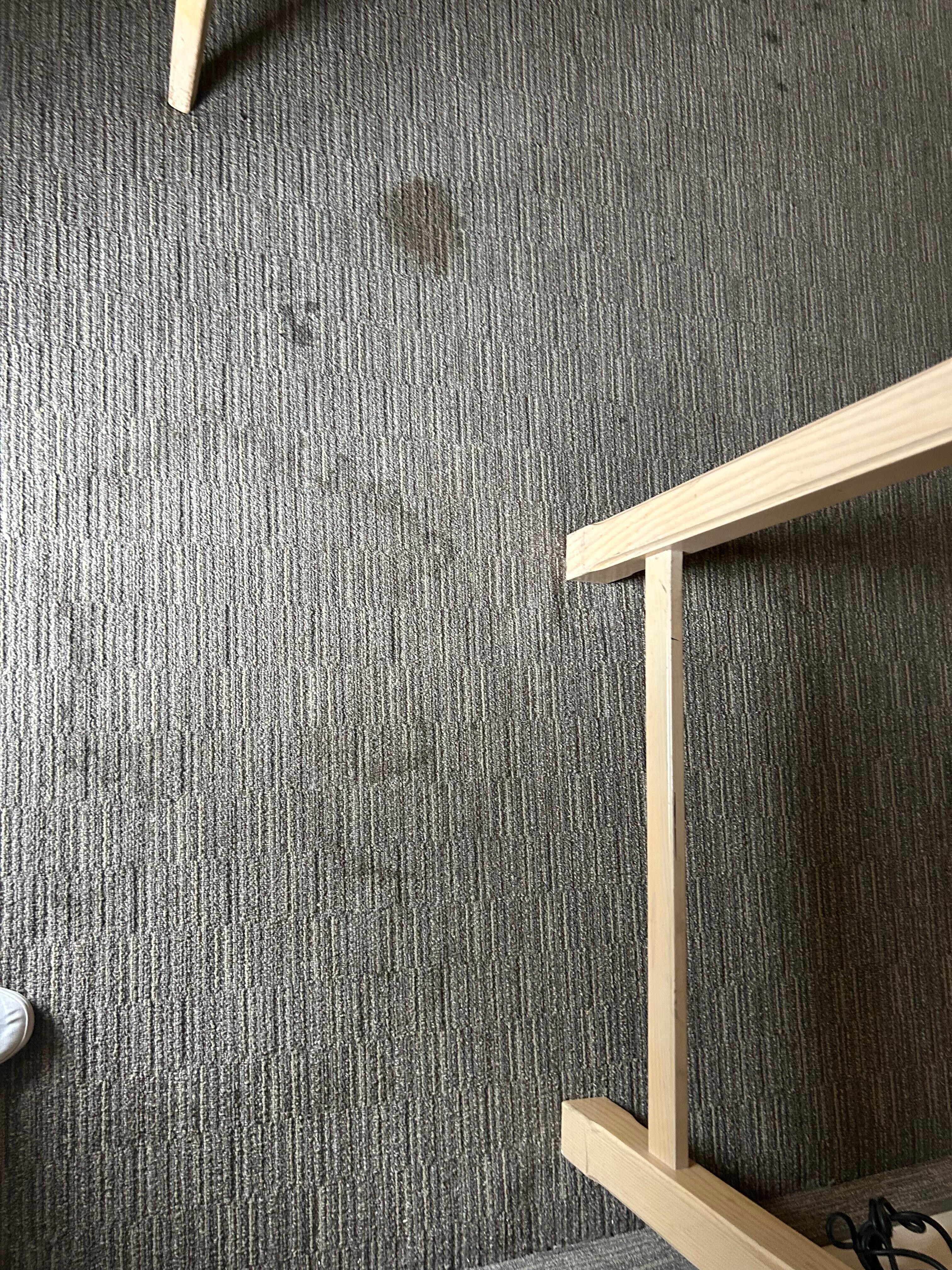 Stained carpet 
