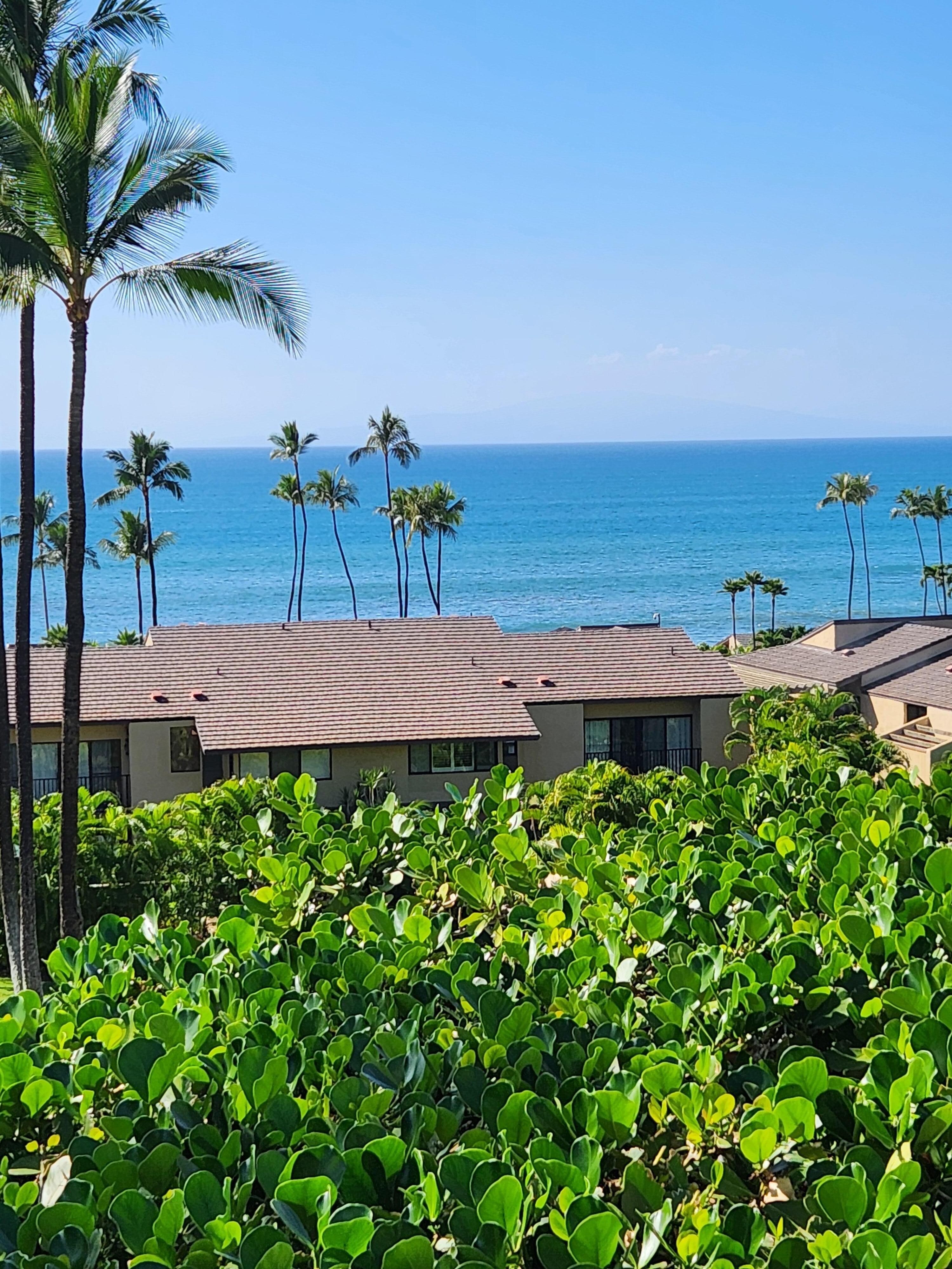View from the lanai.