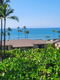 View from the lanai.