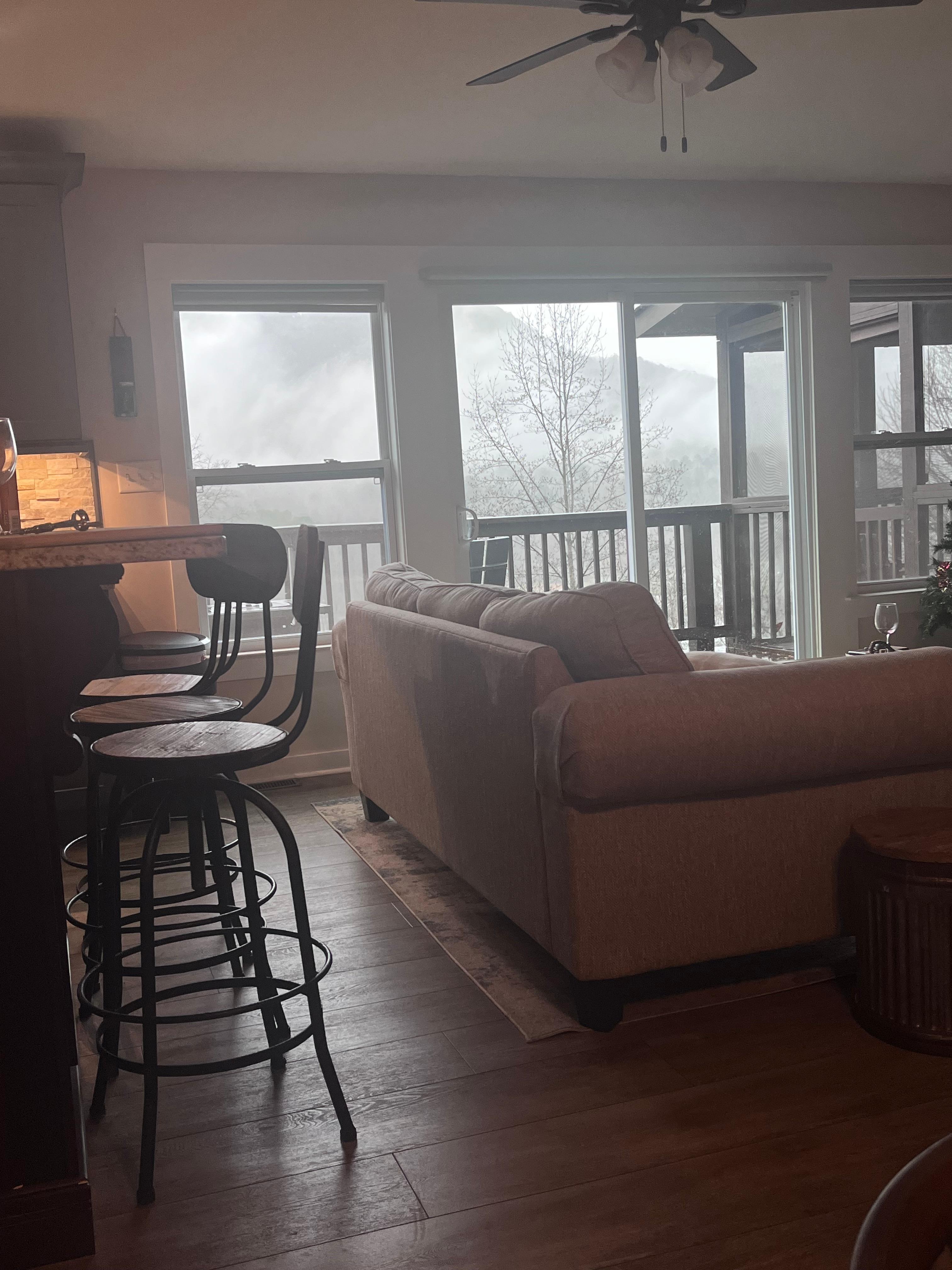 View from the dining table 