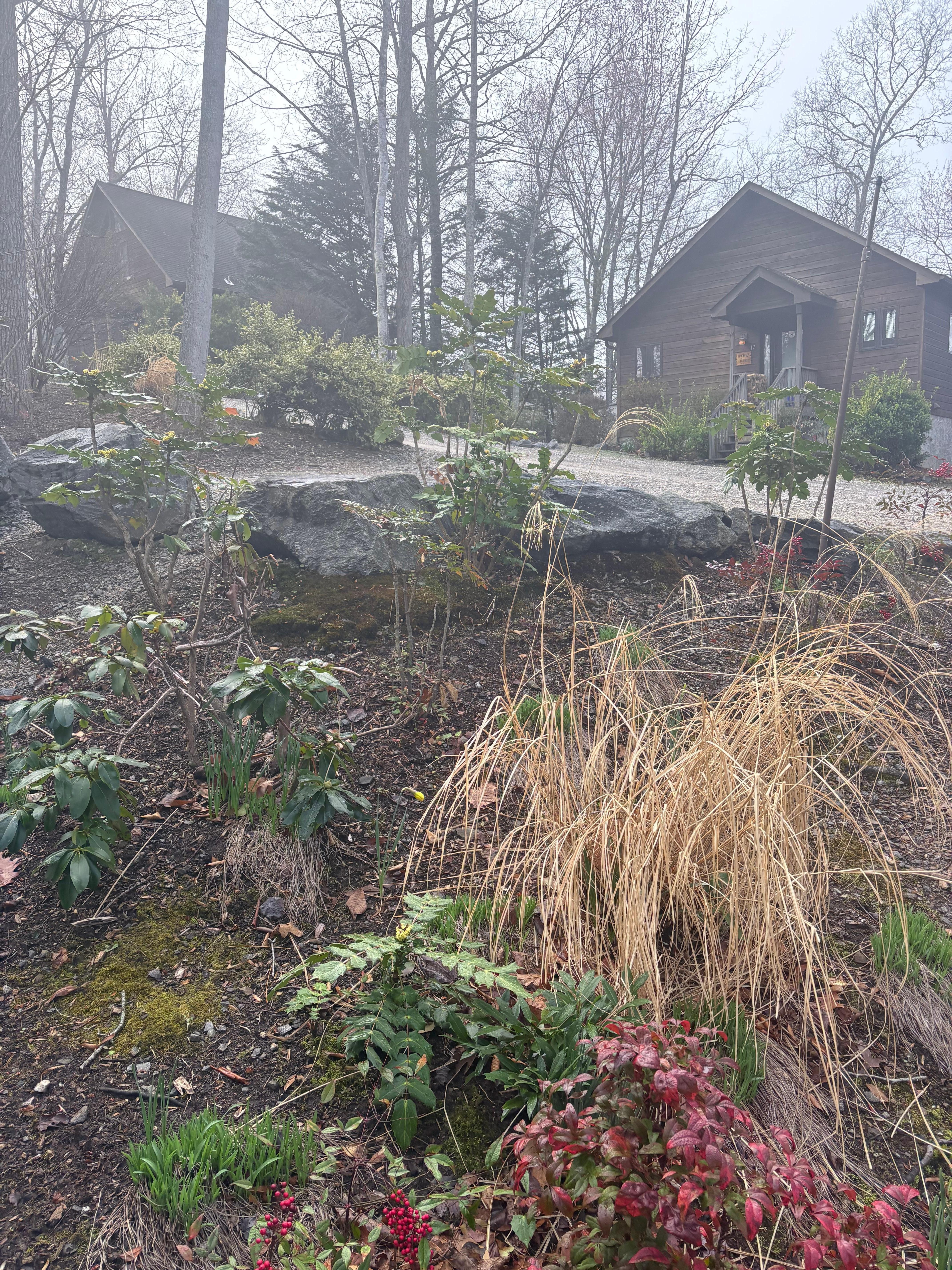 Other cabins in this resort.