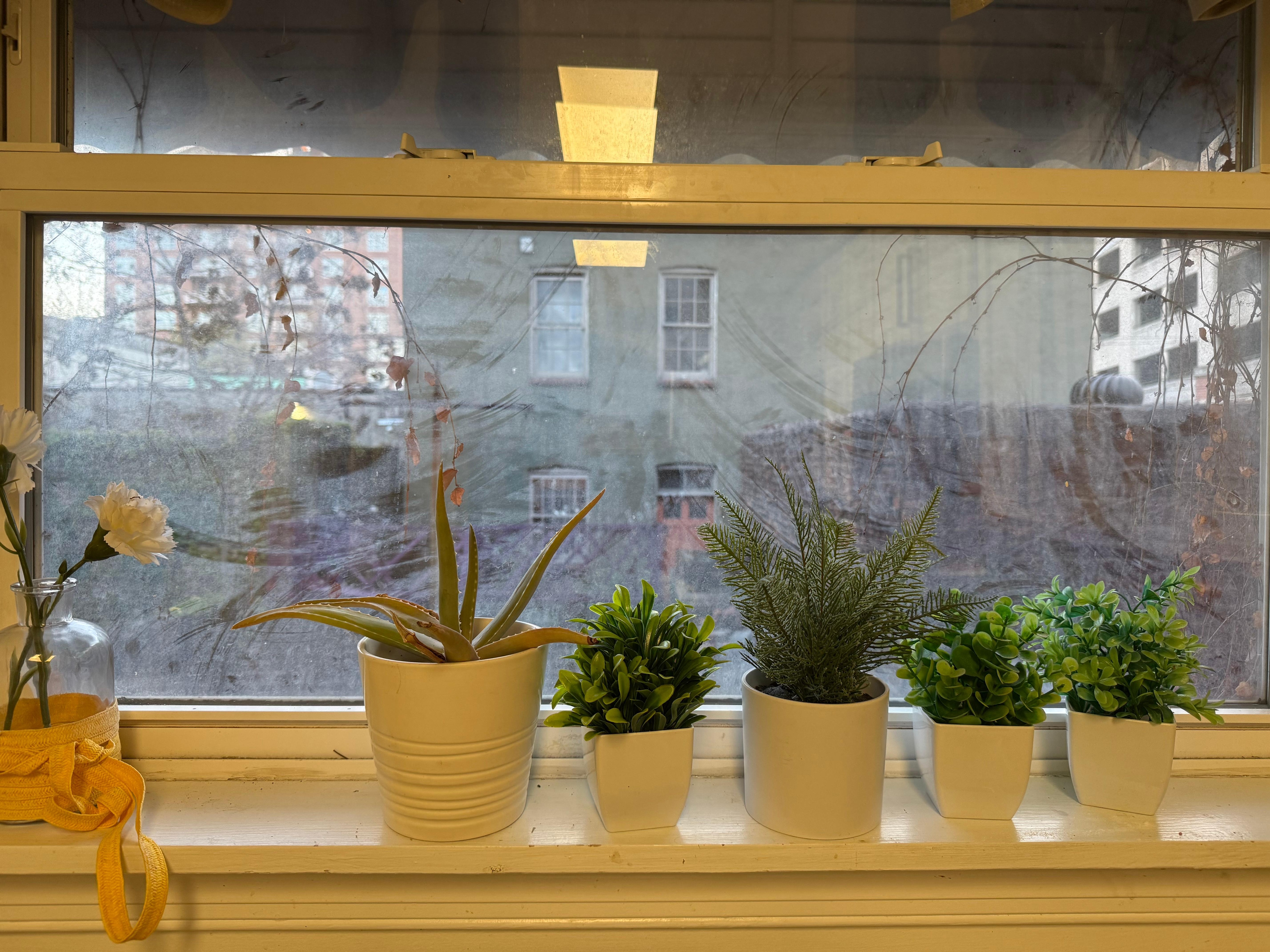 Grime all over windows 