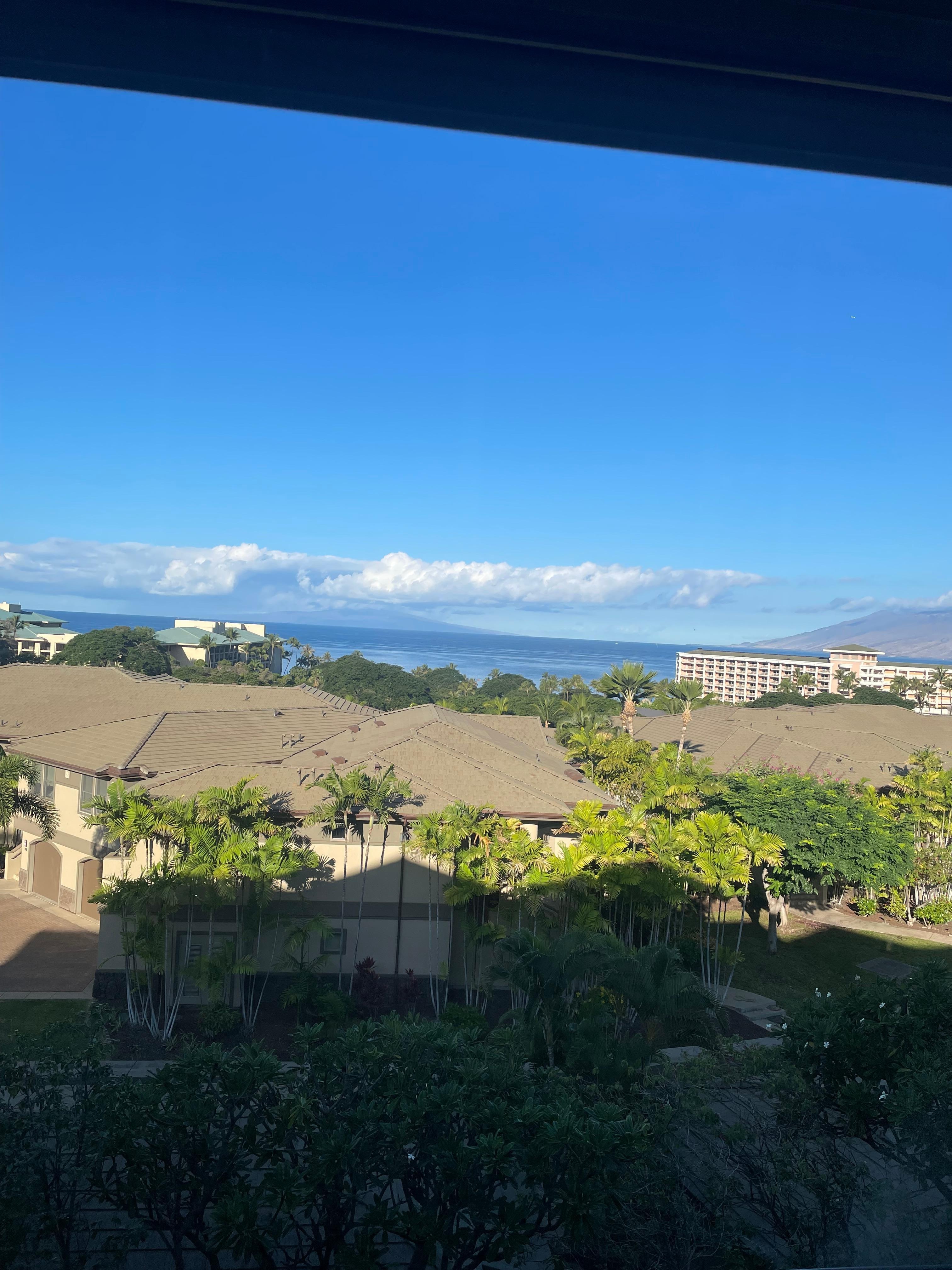 We could see whales in the water from our balcony! 