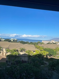 We could see whales in the water from our balcony!