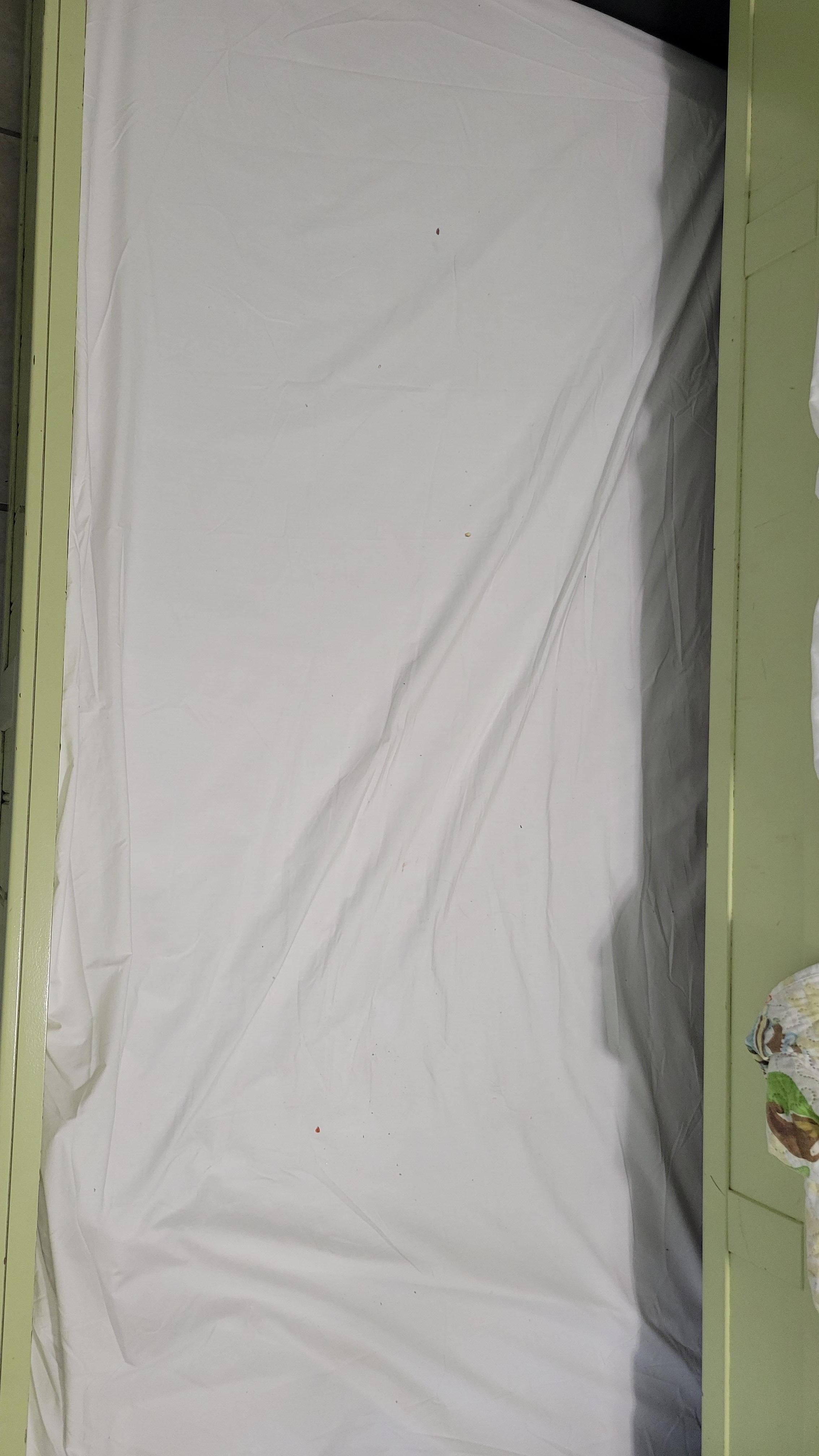 Who knows when the last time this was washed. Crumbs of all kinds!!