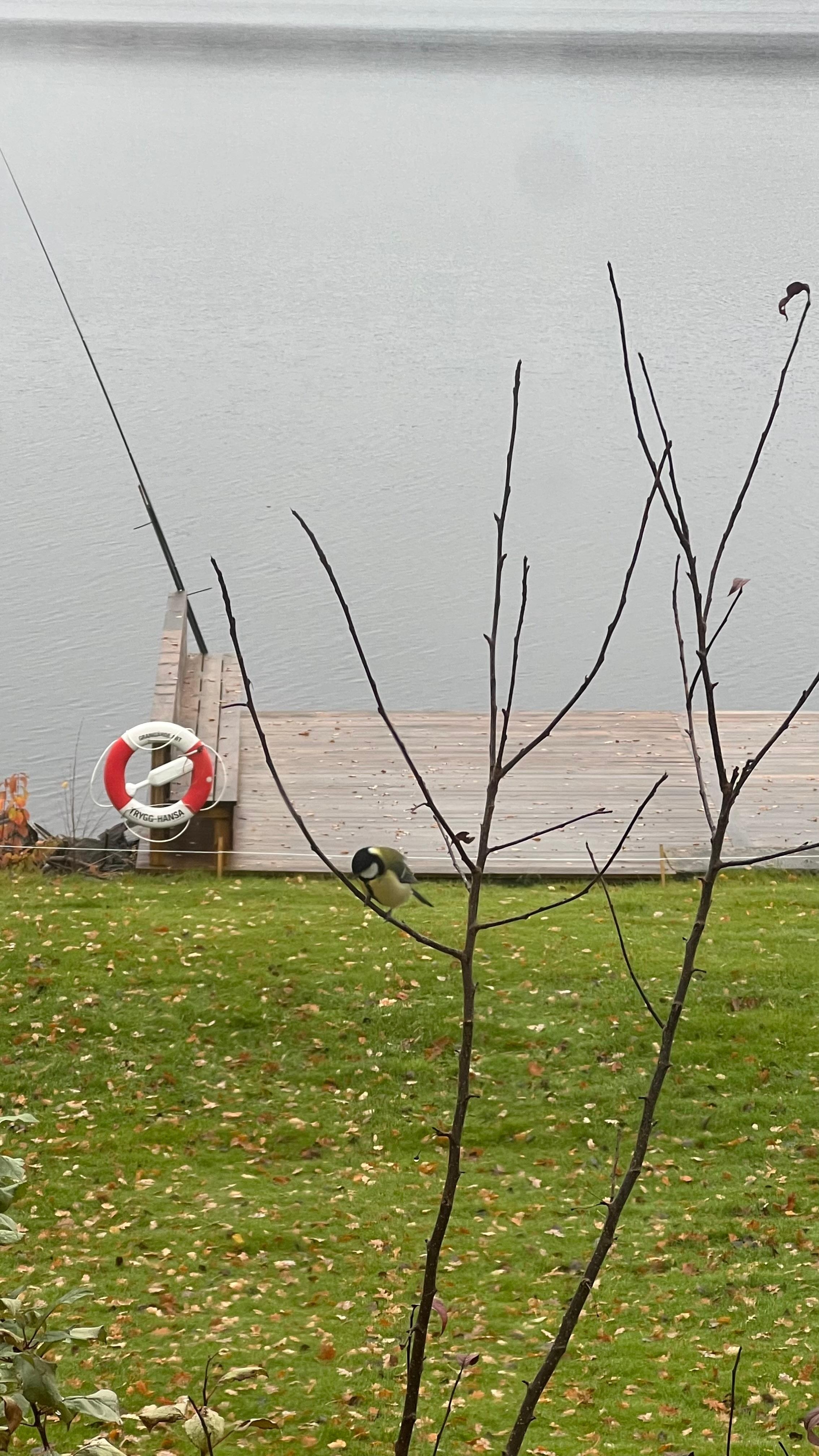 Outside of the breakfast hall