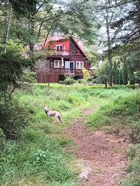 My puppy was the happiest that I ever seen her. I don't have to take her walking like usual because it's a pretty big property to explore.