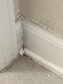 Downstairs bathroom not cleaned