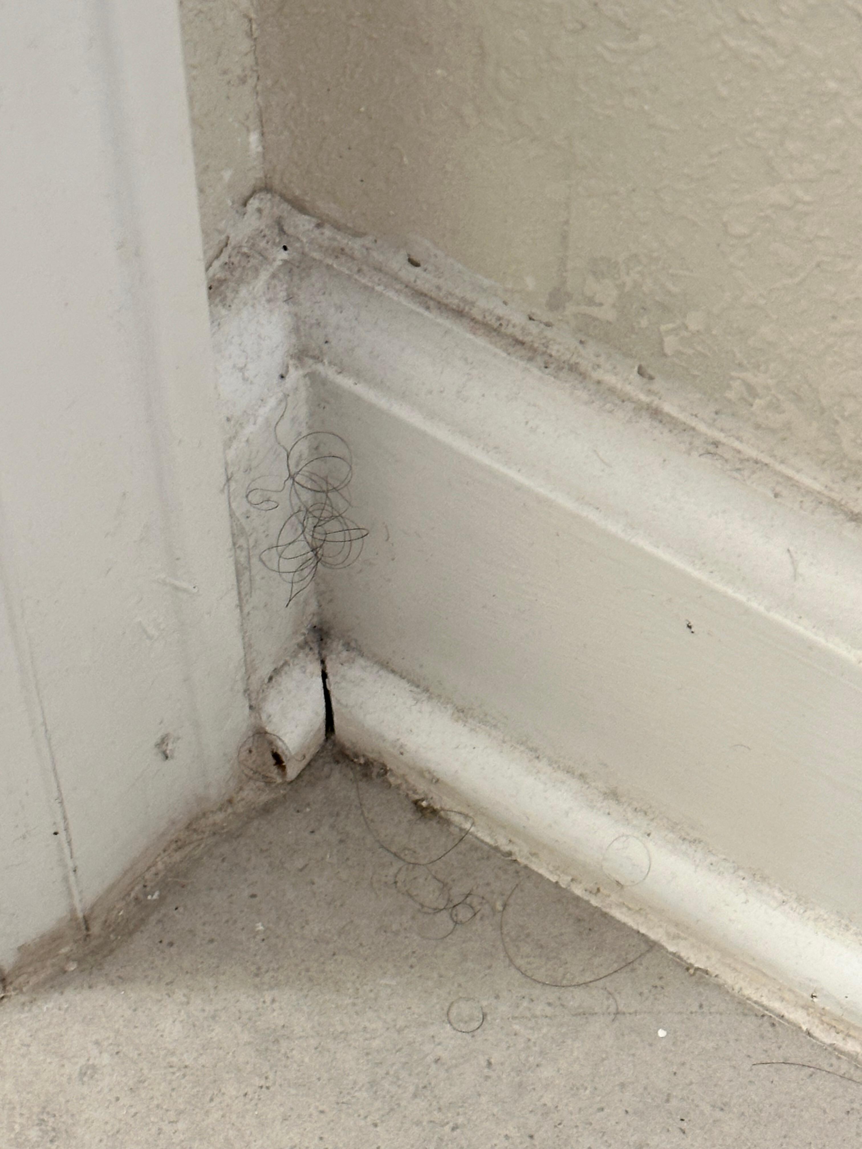 Downstairs bathroom not cleaned
