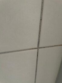 Schimmel in den Badezimmer Fugen