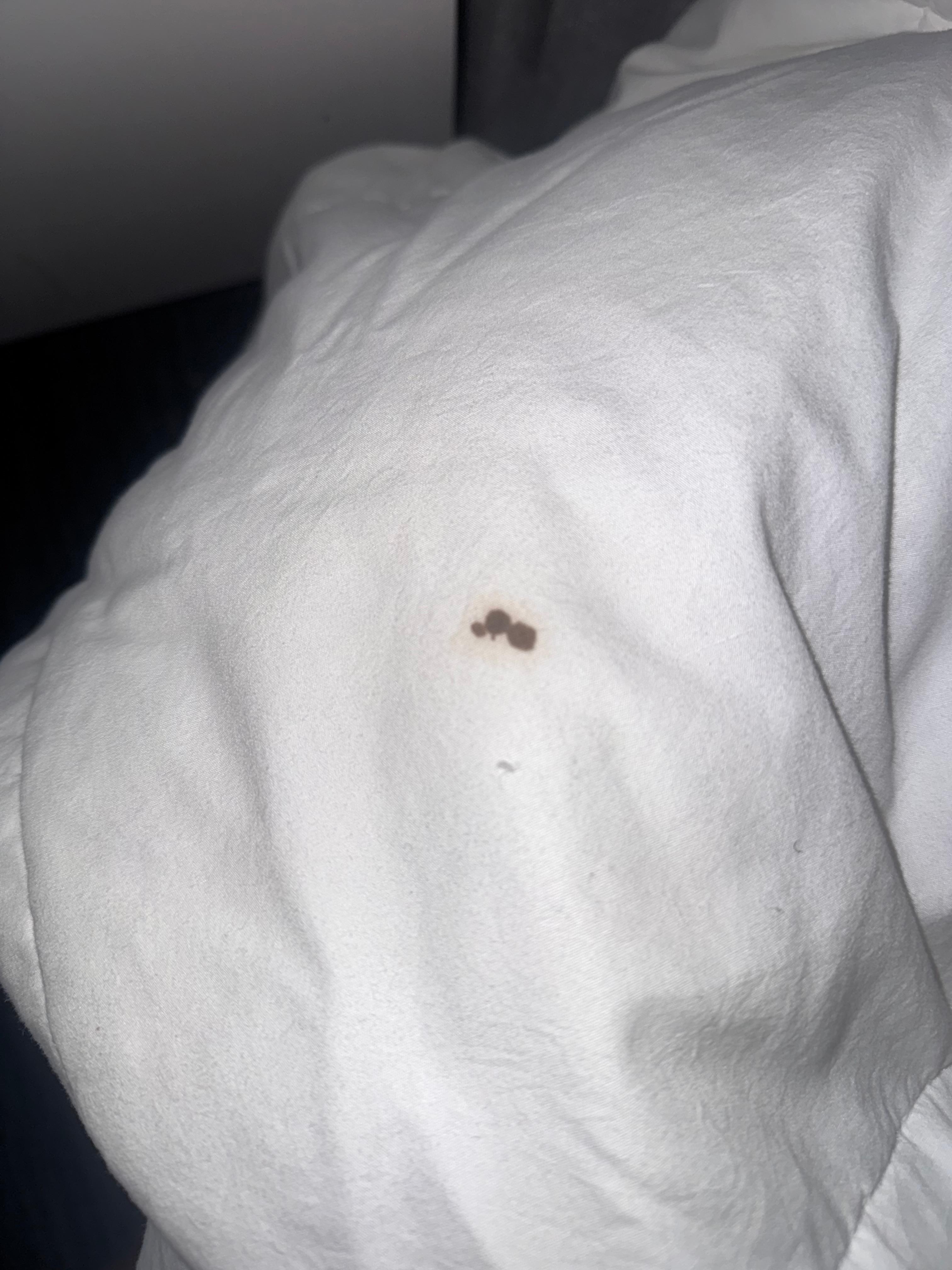 Spot on pull out coach comforter