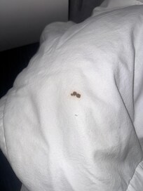 Spot on pull out coach comforter