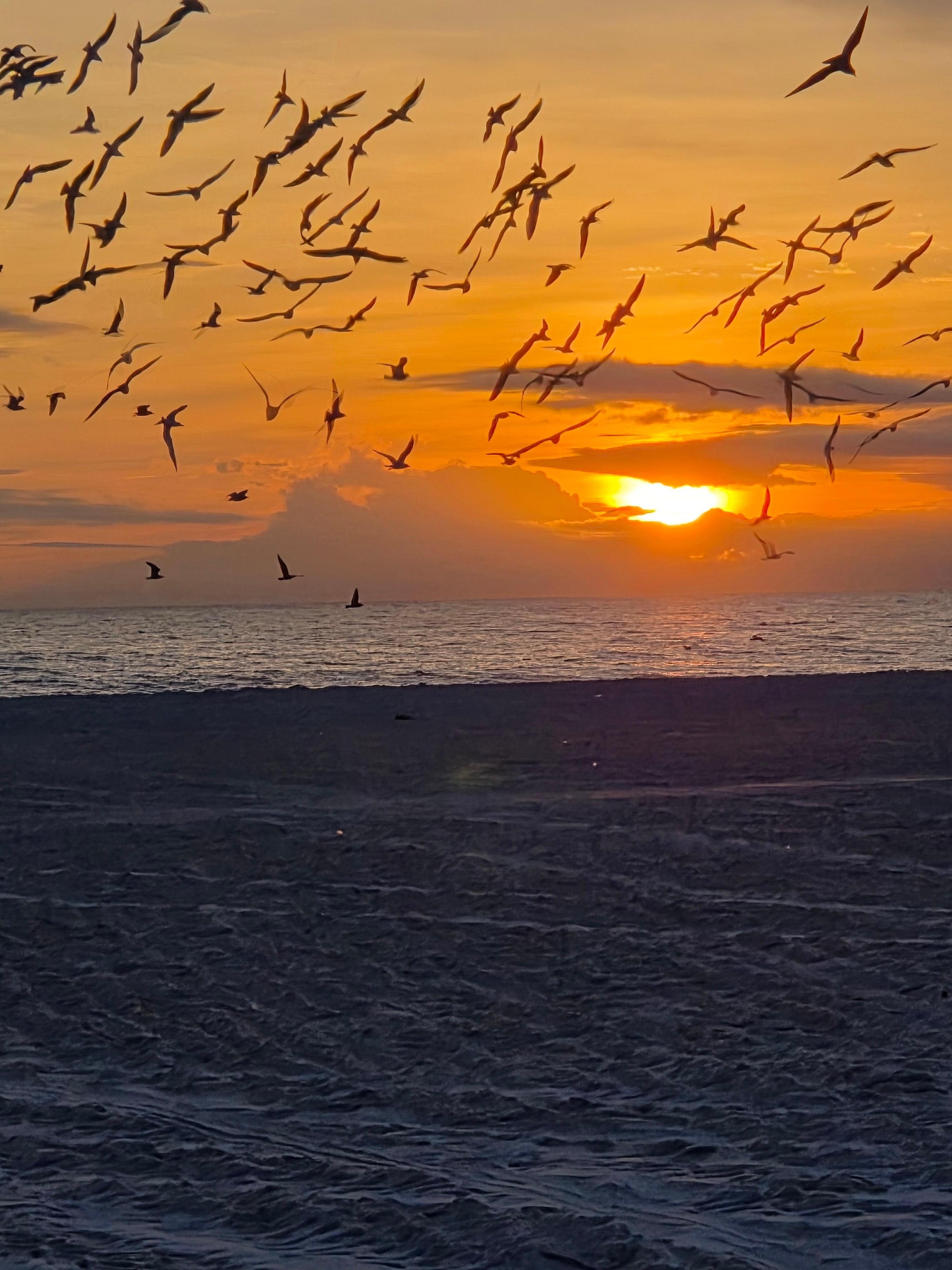 Sun set at the beach which is steps from the condo.