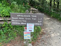 Hiking in Great Smoky Mountains