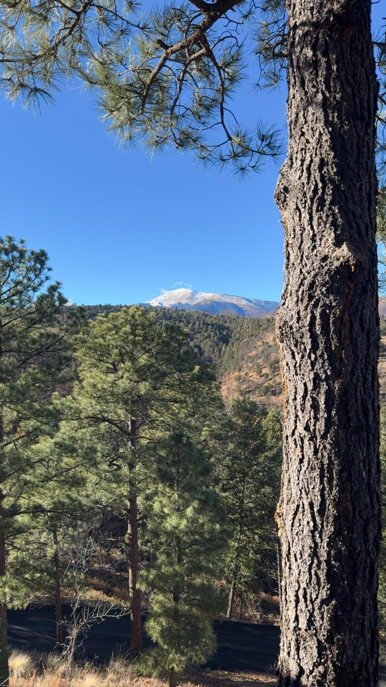 This photo is the porch view! 