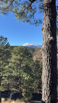 This photo is the porch view!