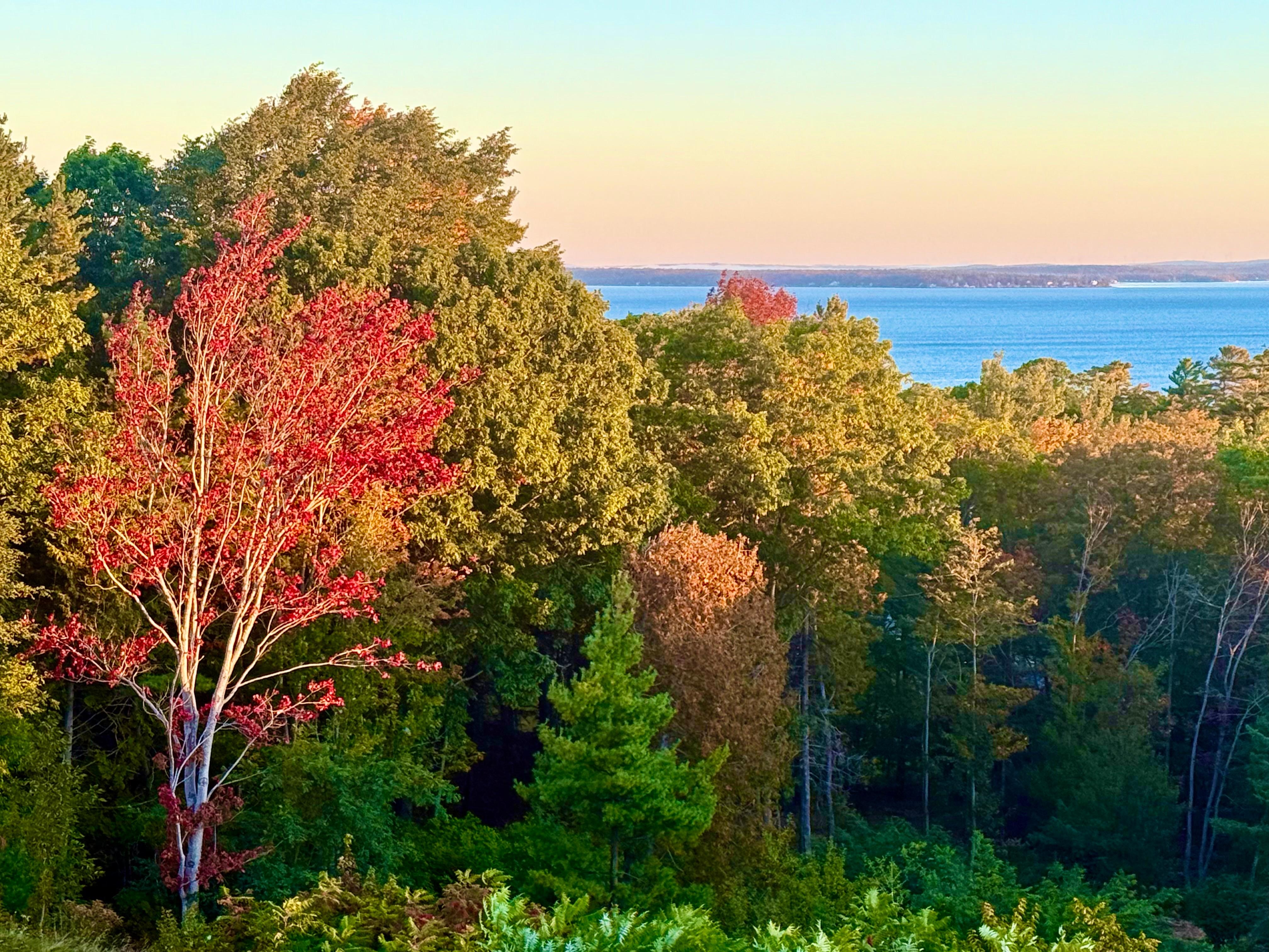 Fall colors from our balcony.