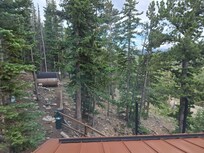 Sauna surrounded by trees