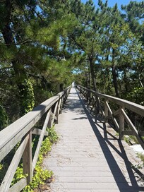 The boardwalk access to the beach