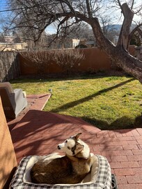 Dogs loved the fenced in yard