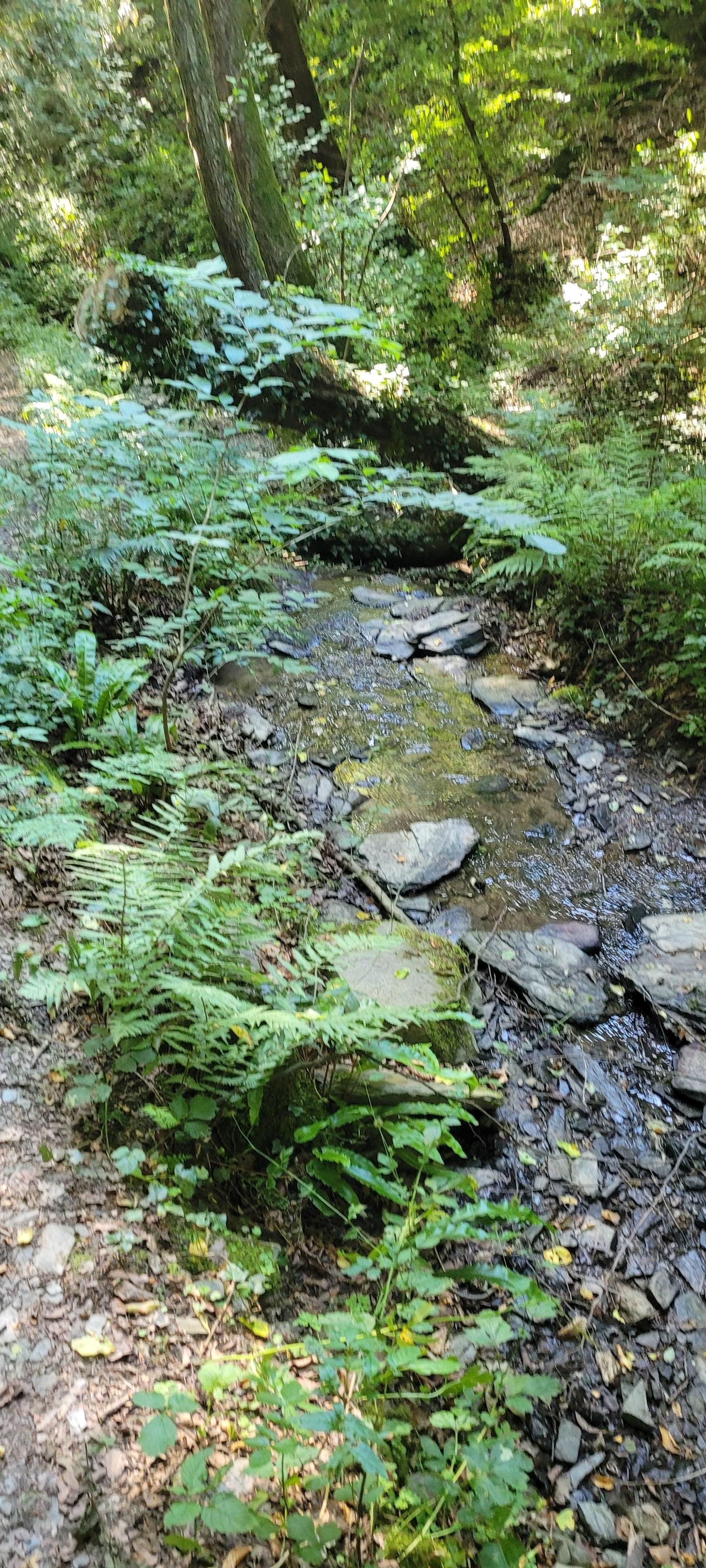 Wanderung Pulsbachklamm
