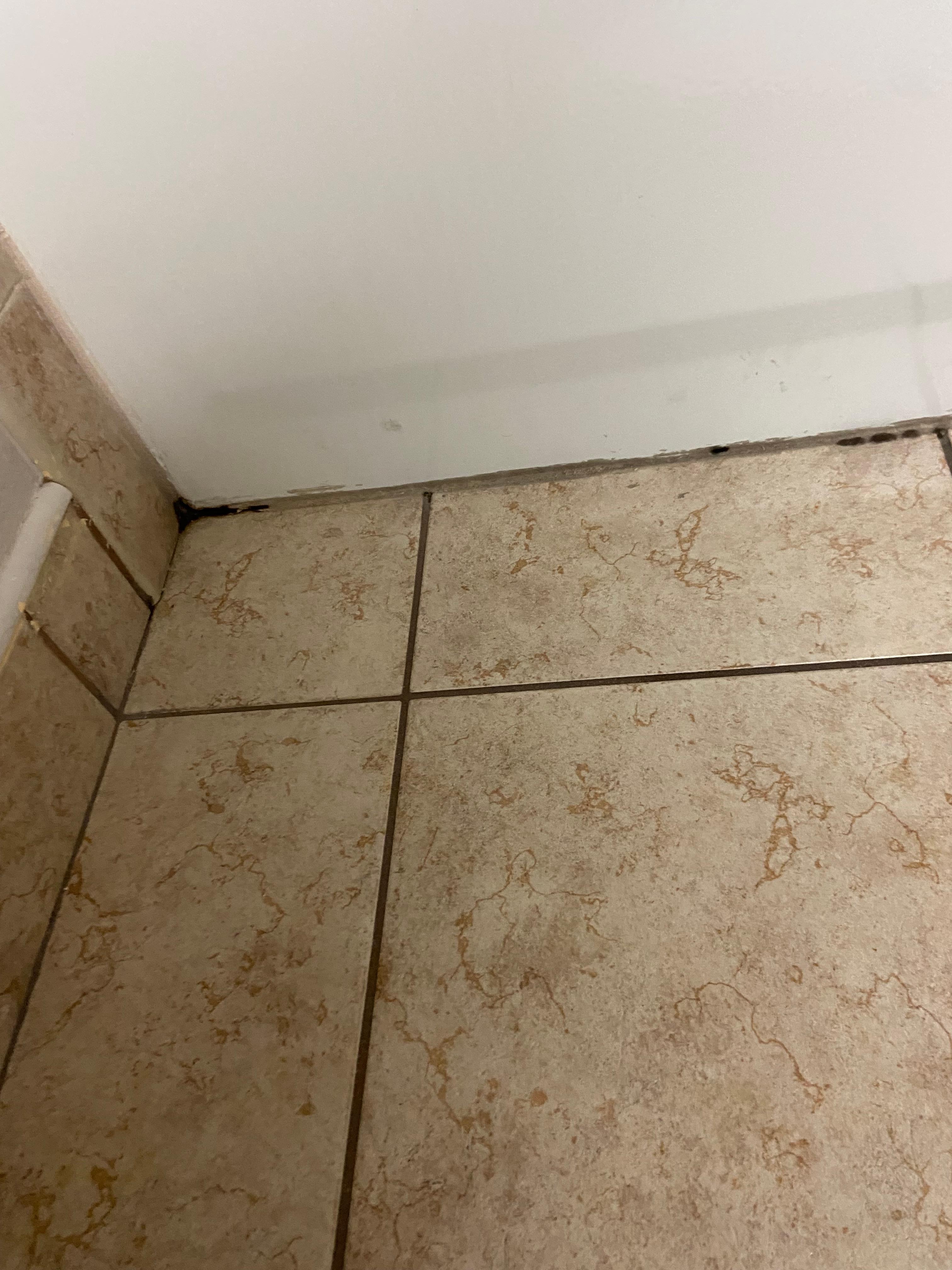 Mold in the bathroom it smells 