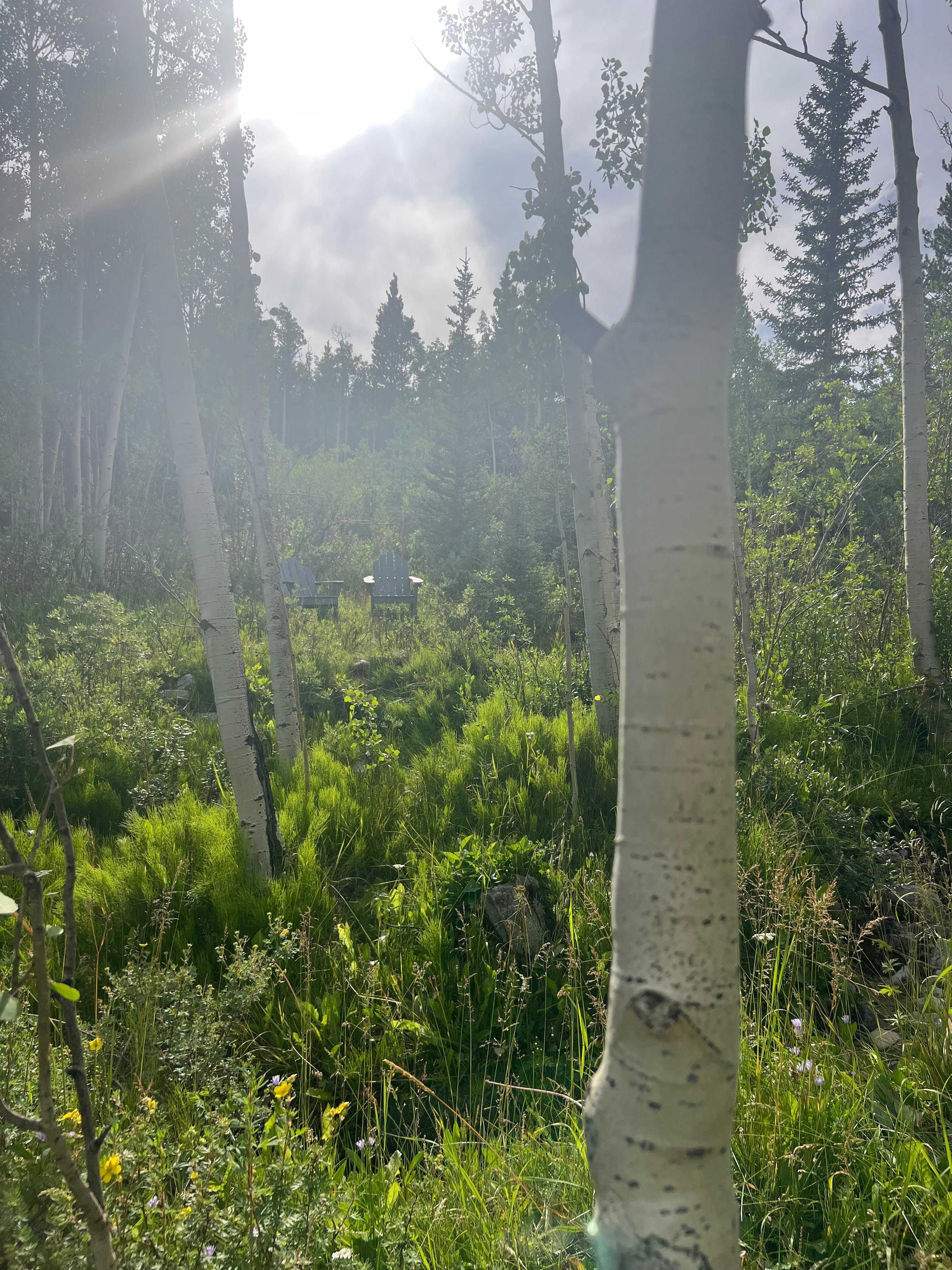 Wandering the grounds, heading to the Adirondack chairs overlooking the pond. 
