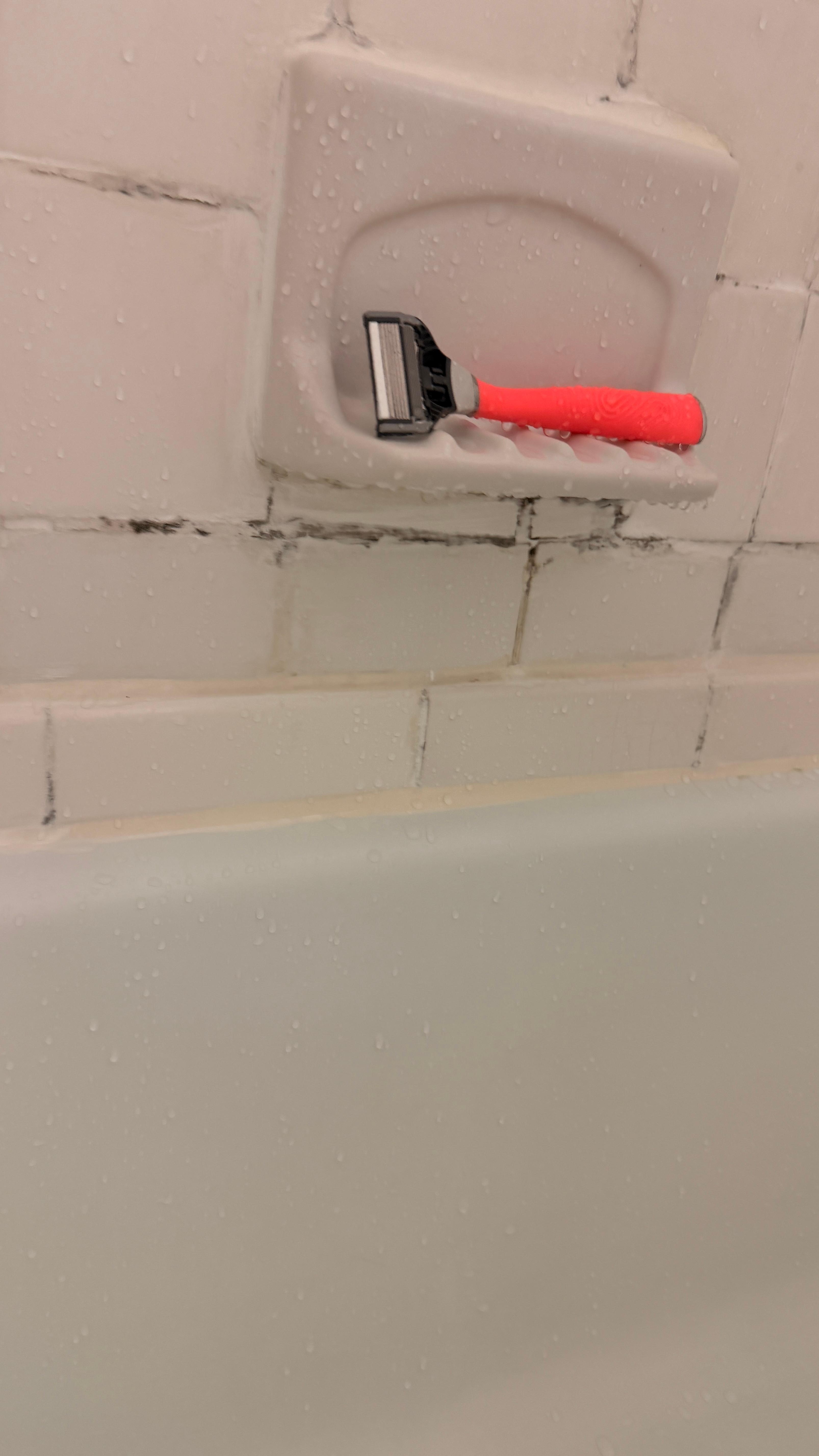 Mold, mildew? Either way, gross. 