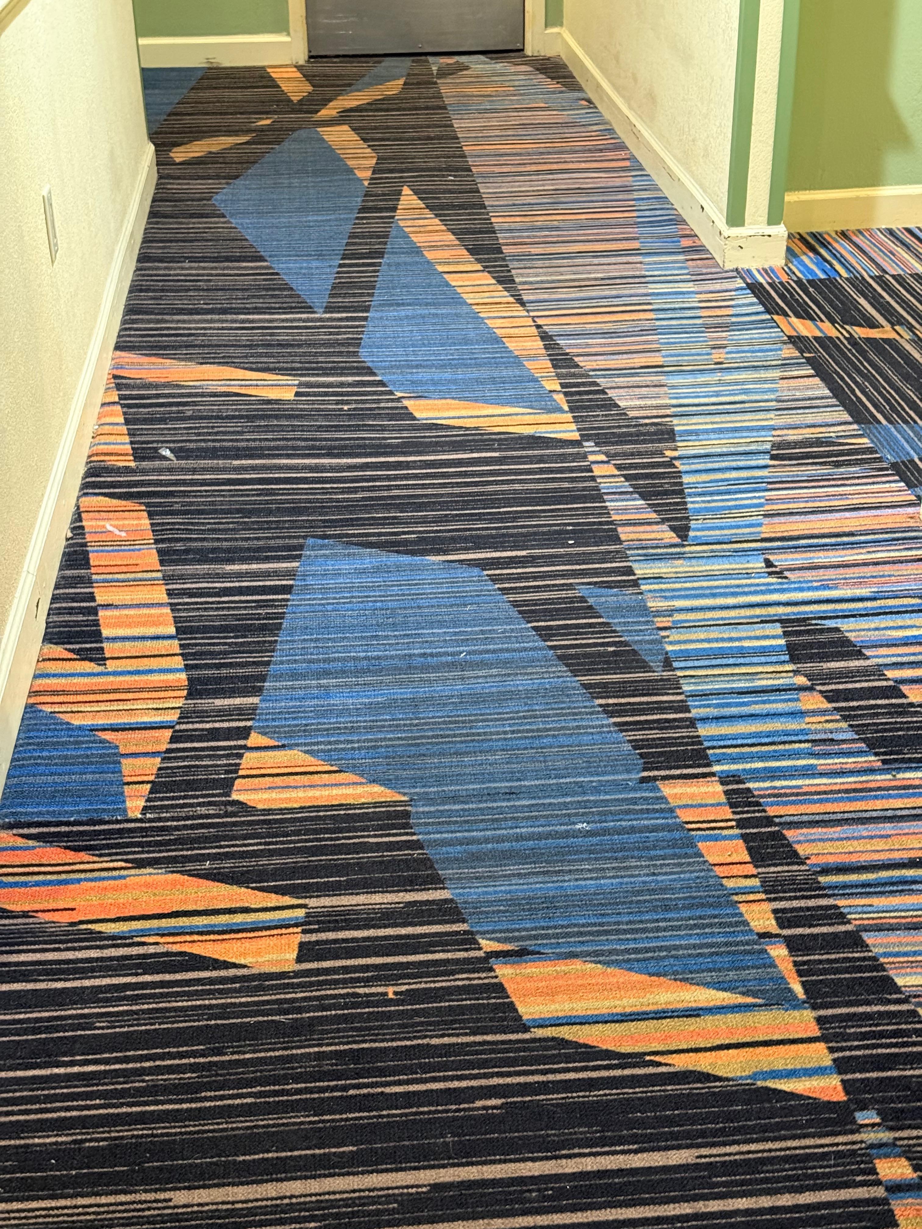 Hair and Trash was the entire carpet in front of every single room on the entire floor