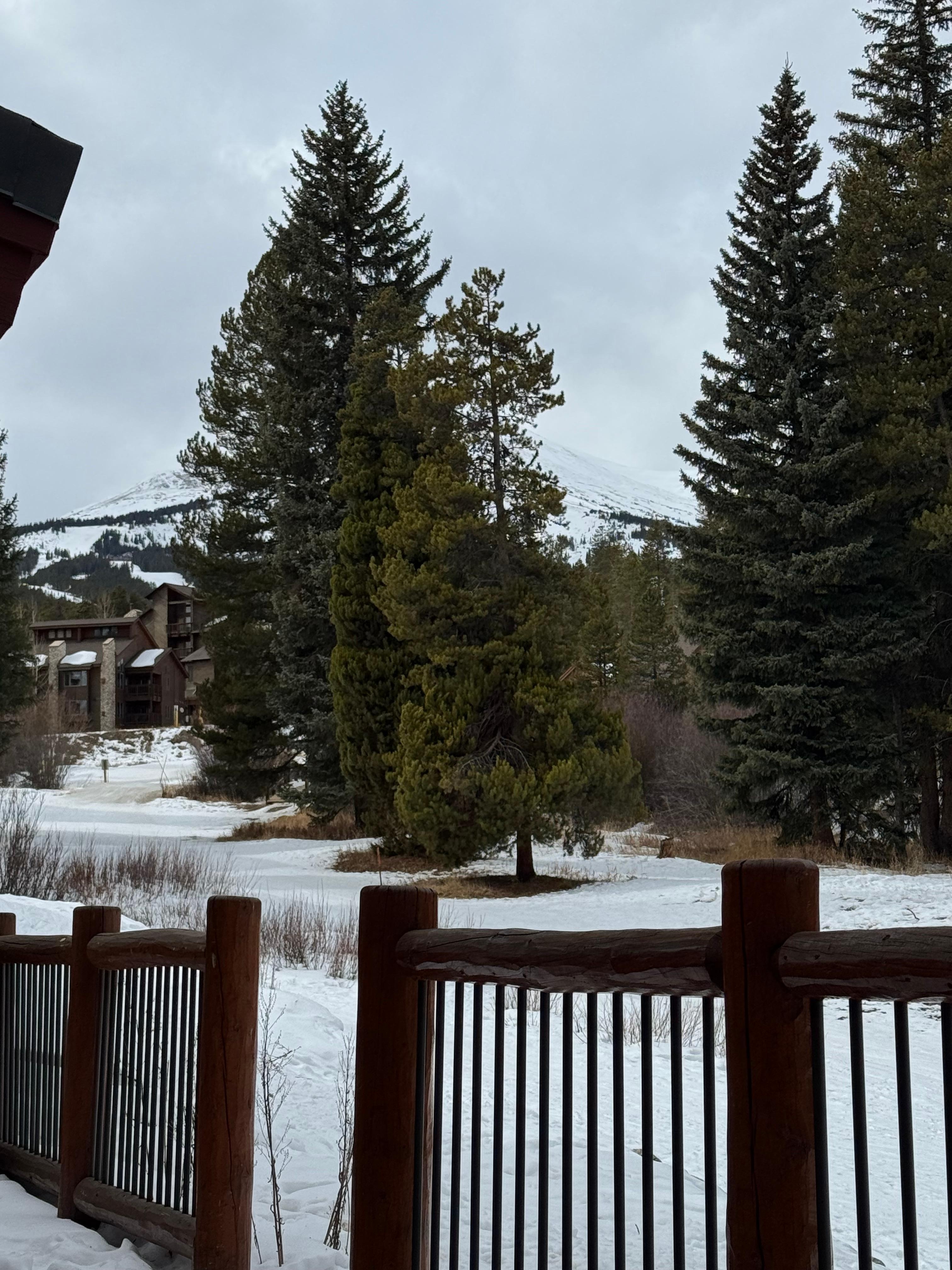 Ski home for lunch or end of day right up to the porch